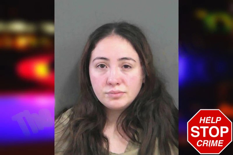 Vicky Solorzano Mugshots