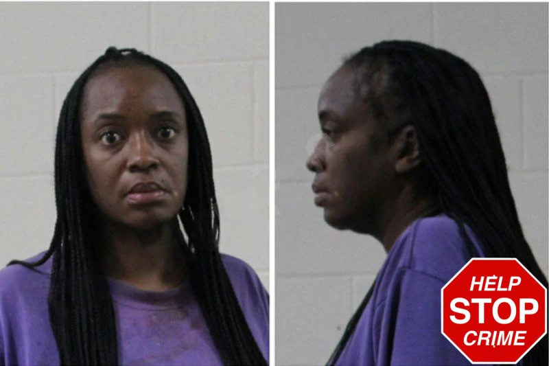 Victoria Jefferies mugshot