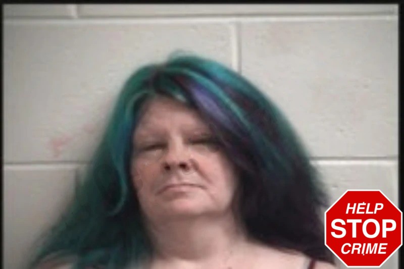 Virginia Bannister Mugshots