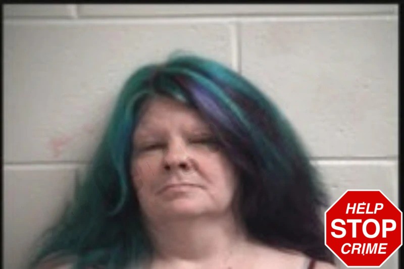 Virginia Bannister Mugshots