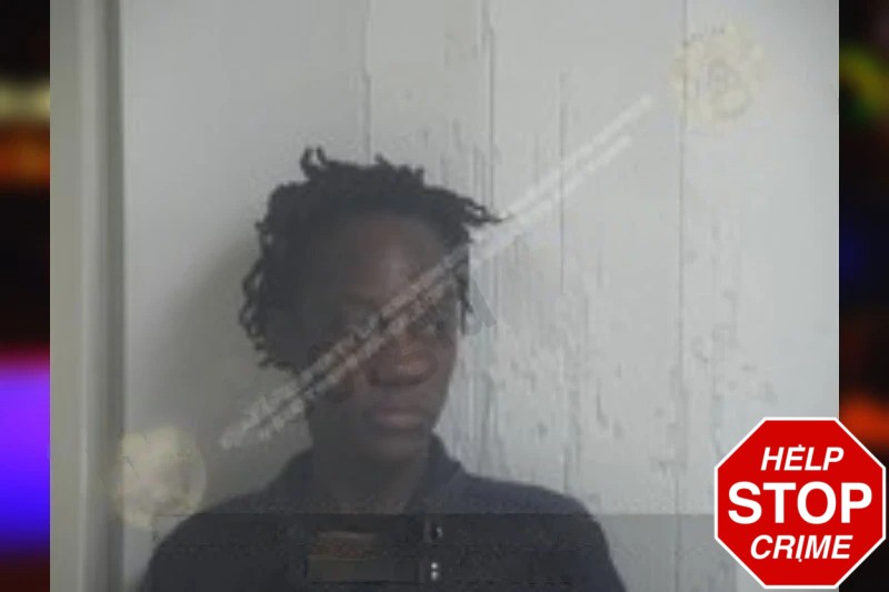 Virginia Curry Mugshots