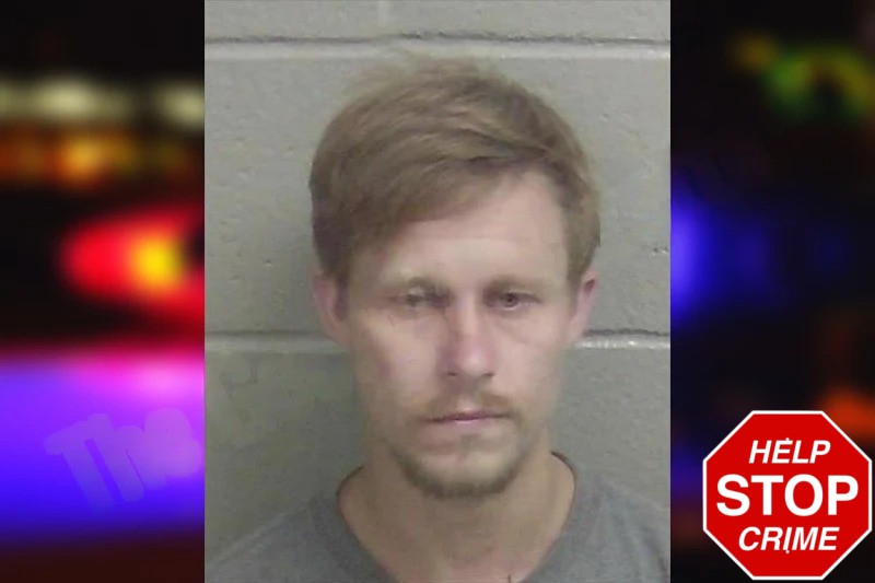 Vladimir Bedekovich mugshot – Wayne County , Georgia Vladimir Bedekovich mugshot