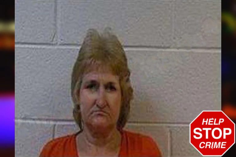 Vonceil James mugshot – Polk County , Georgia Vonceil James