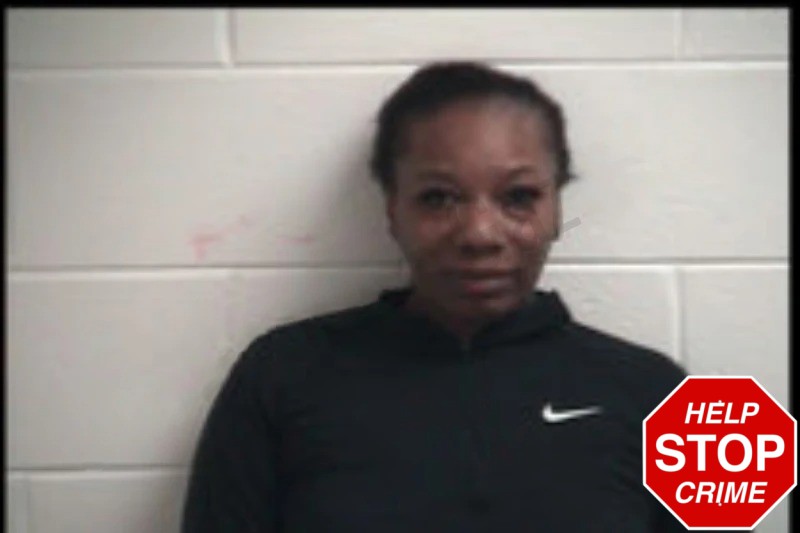 Wakita Hudson mugshot