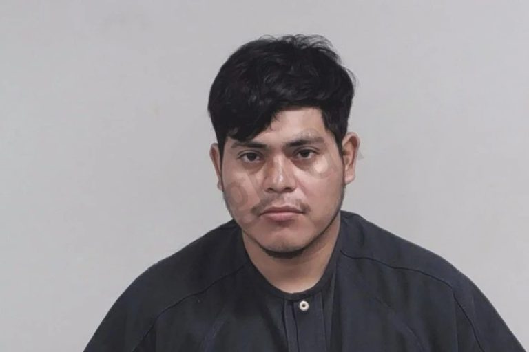 Walter Dominguez-Sanchez mugshot – Lowndes County , Georgia Walter Dominguez-Sanchez