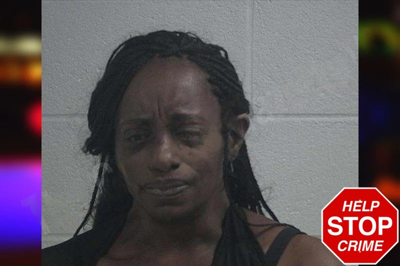 Wanda Ferguson Mugshots