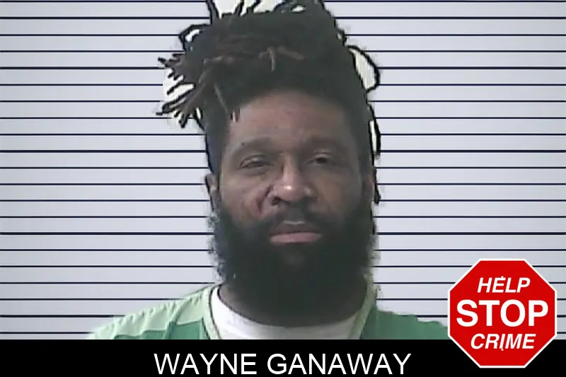 Wayne Ganaway Mugshots