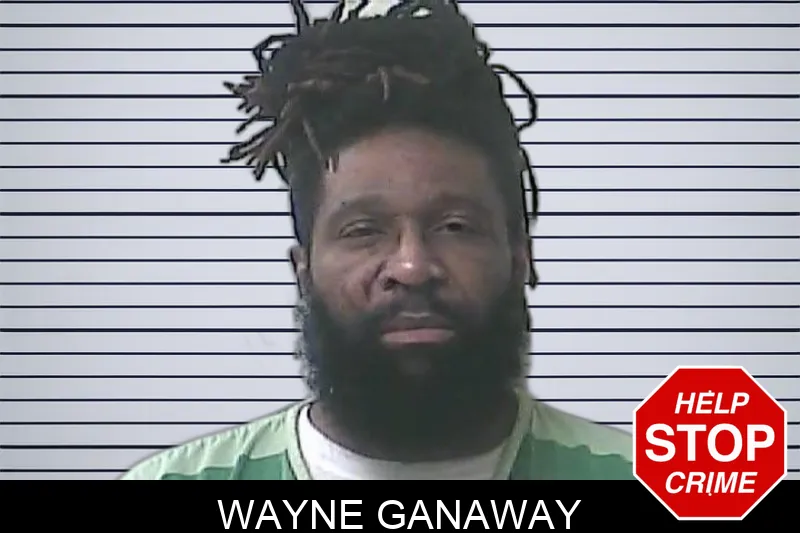 Wayne Ganaway Mugshots
