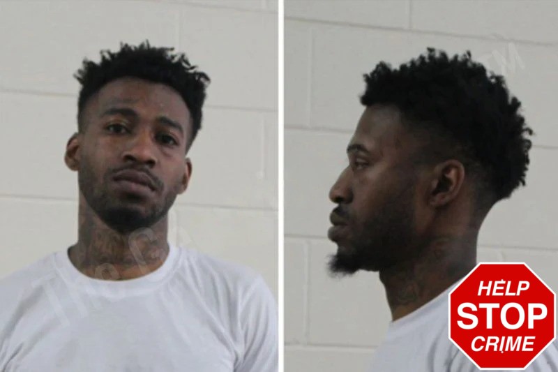 Wayne Nelson mugshot