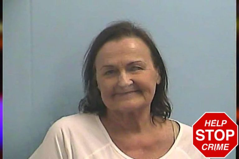 Wendie Yancey mugshot – Dawson County , Georgia Wendie Yancey