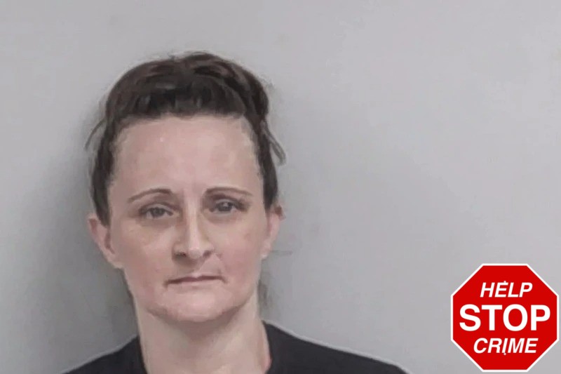 Wendy Cummings Mugshots