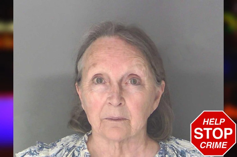Wendy Ellis mugshot – Douglas County , Georgia Wendy Ellis mugshot