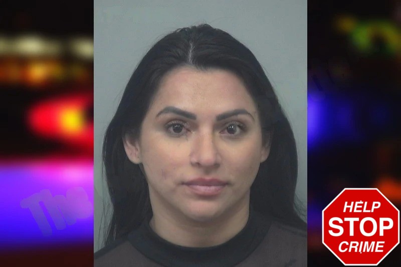 Wendy Mejia Vasquez Mugshots