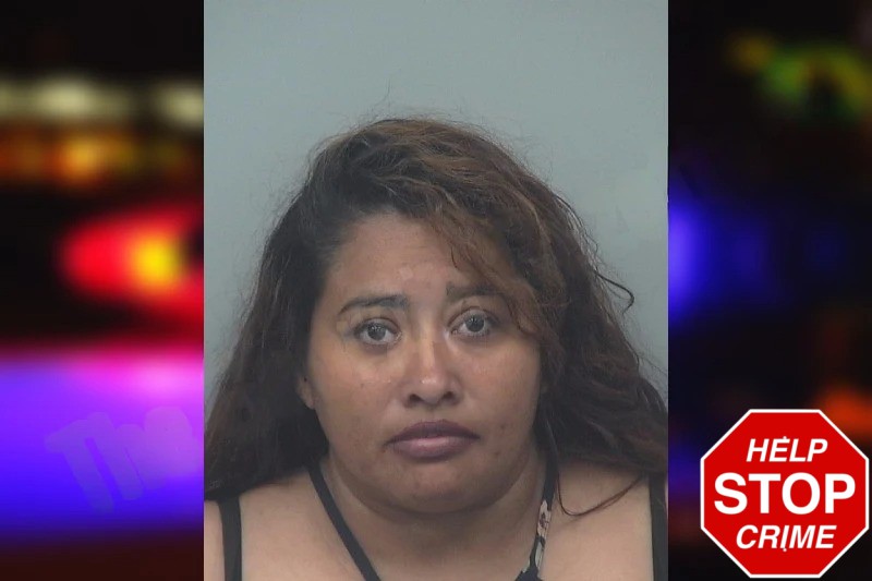 Wendy Ramos Mugshots