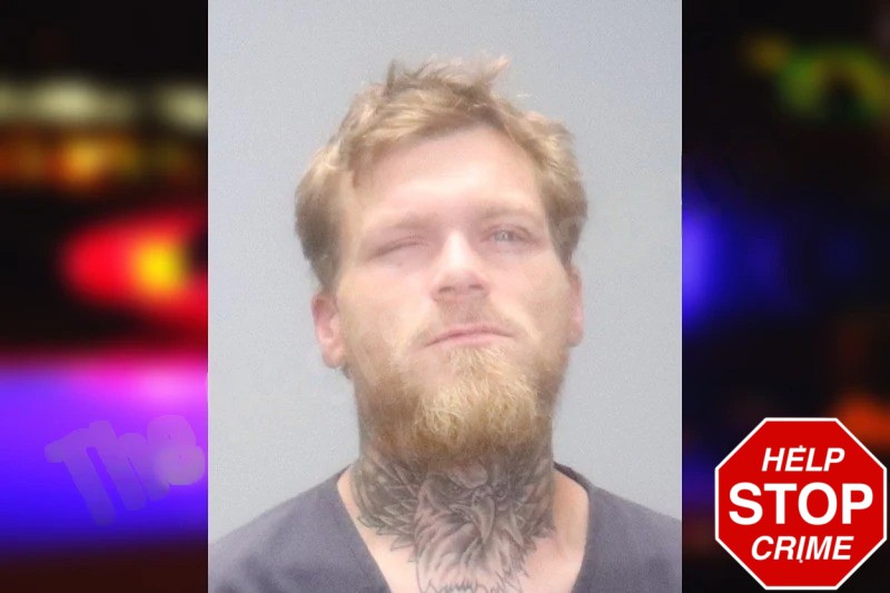 Wesley Holmes Mugshots