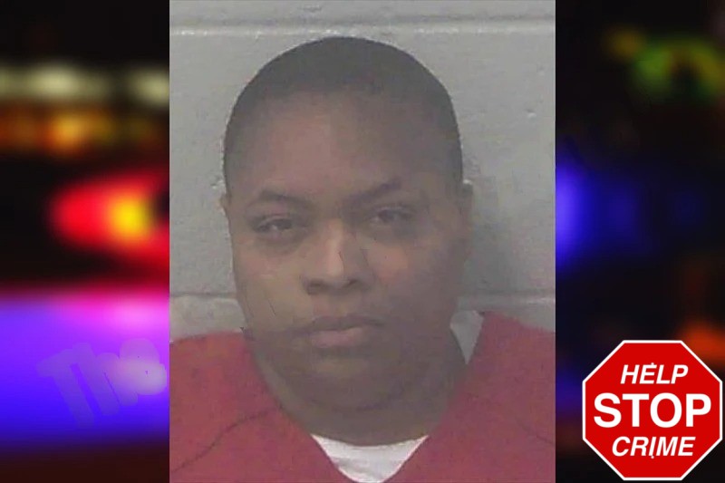 Whitney King Mugshots