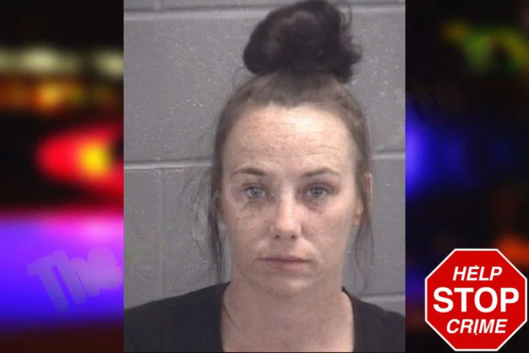 Whitney Melton mugshot – Spalding County , Georgia Whitney Melton