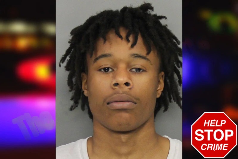 Wiley Martin Mugshots