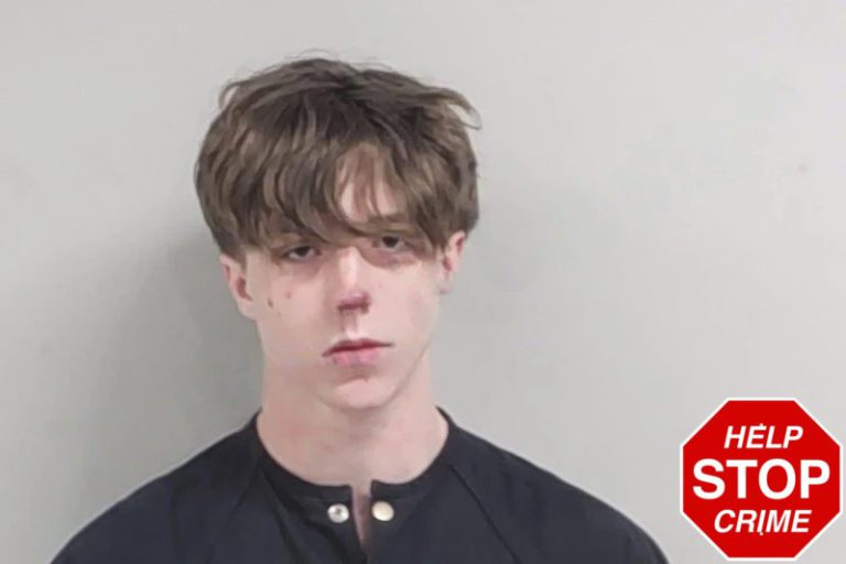 William Hamm mugshot – Lowndes County , Georgia William Hamm