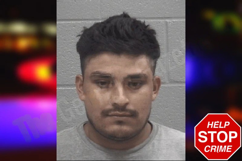 William Sales-Diaz Mugshots