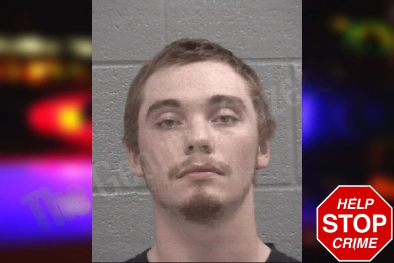 William White Mugshots