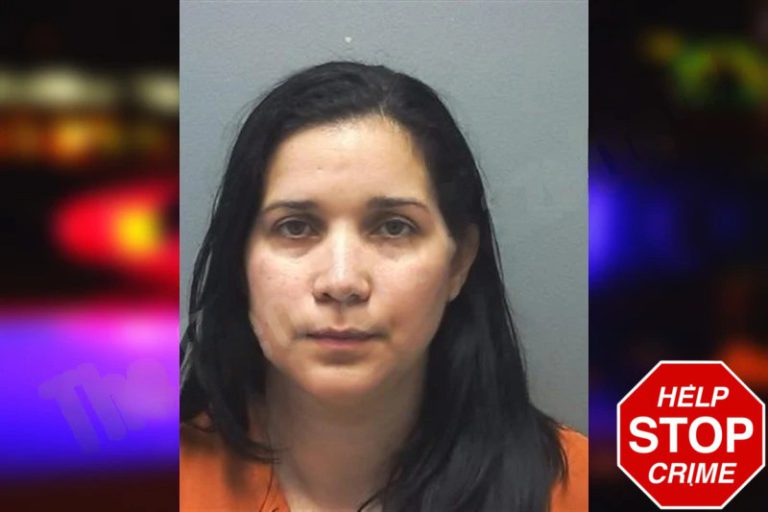 Wilmary Granado mugshot – Cherokee County , Georgia Wilmary Granado