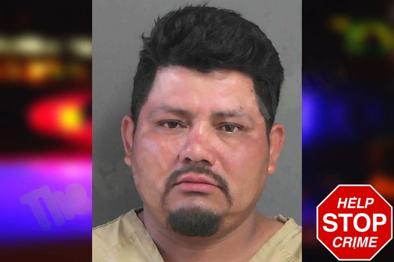 Wilmer Rodriguez Mugshots