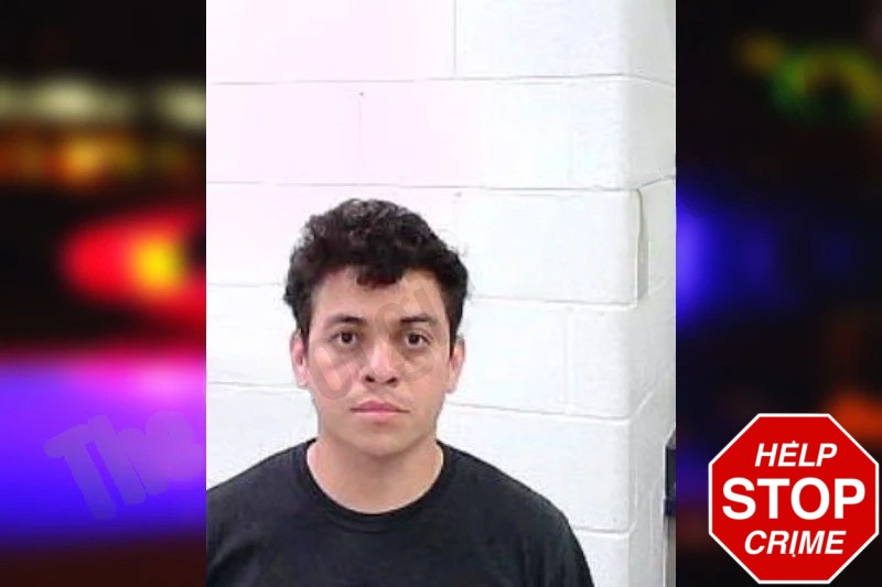 Wilson Alyarenga Mugshots