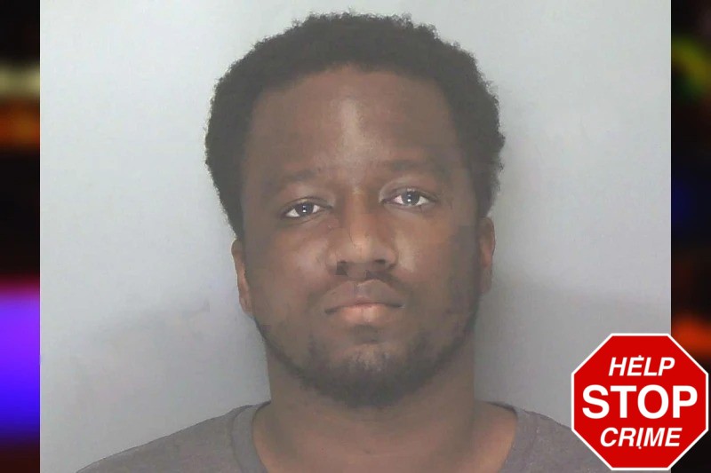 Wooderly Delice Mugshots