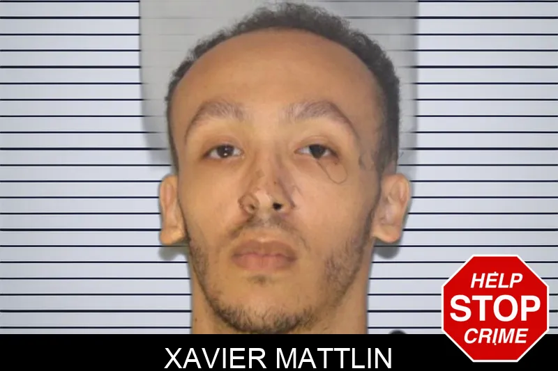 Xavier Mattlin Mugshots