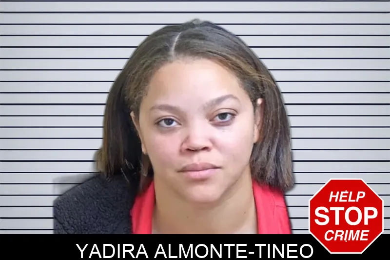 Yadira Almonte-Tineo mugshot