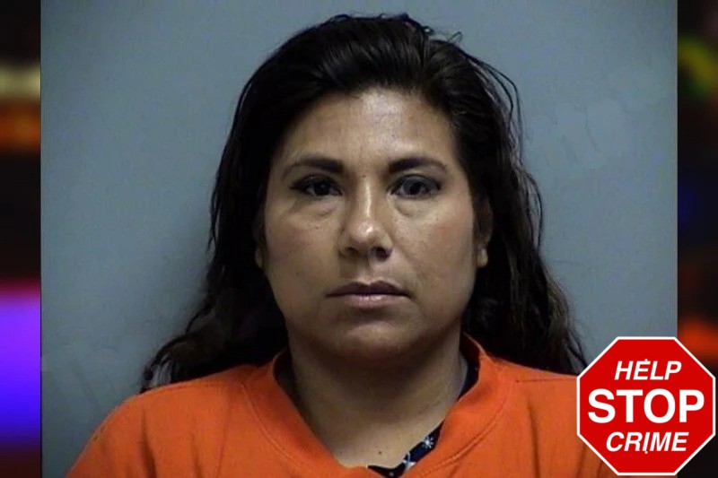 Yahayra Segura Arias mugshot