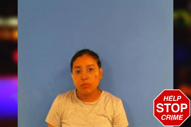 Yareli Garcia Mugshots