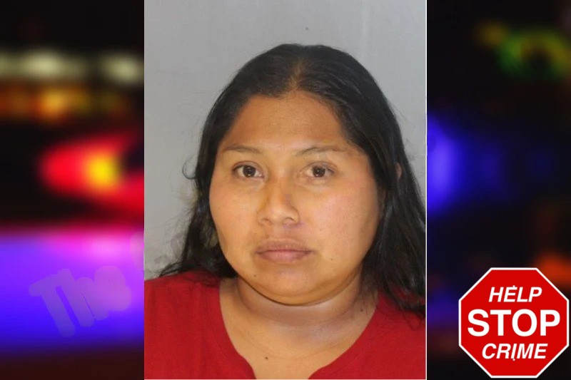 Yolanda Alonzo-Carmelo Mugshots