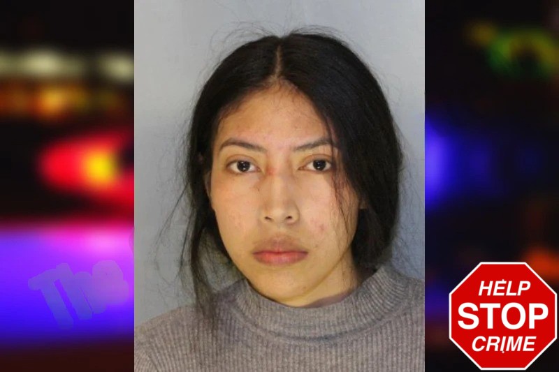 Yolanda Ramirez Mugshots