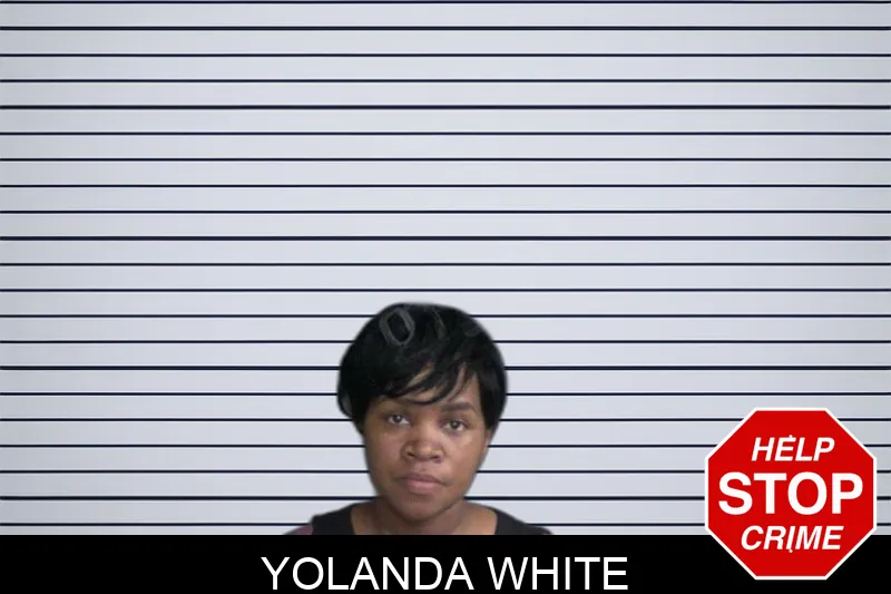 Yolanda White Mugshots