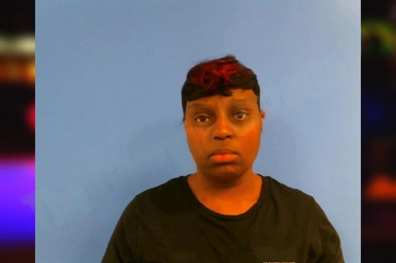 Yolonda Johnson Mugshots
