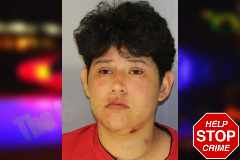 Yosel Delgado Mugshots