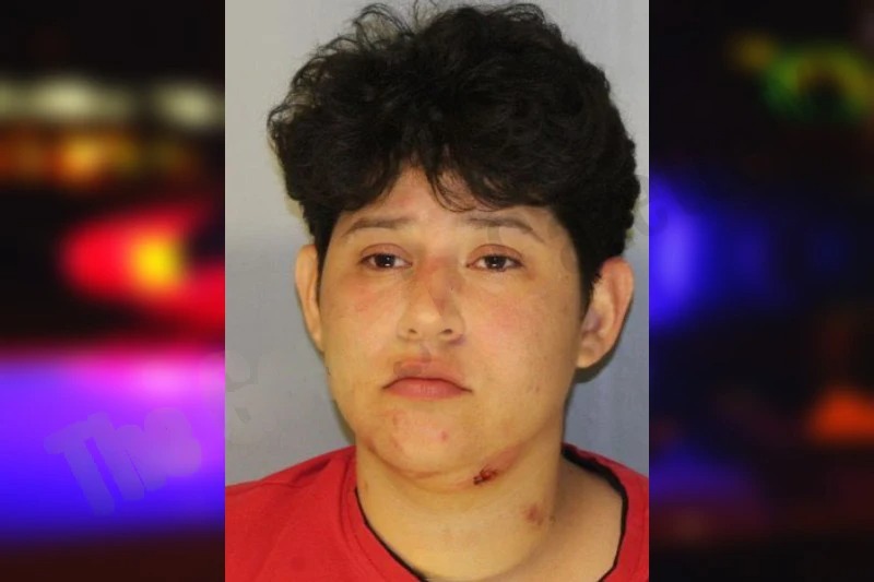 Yosel Delgado Mugshots