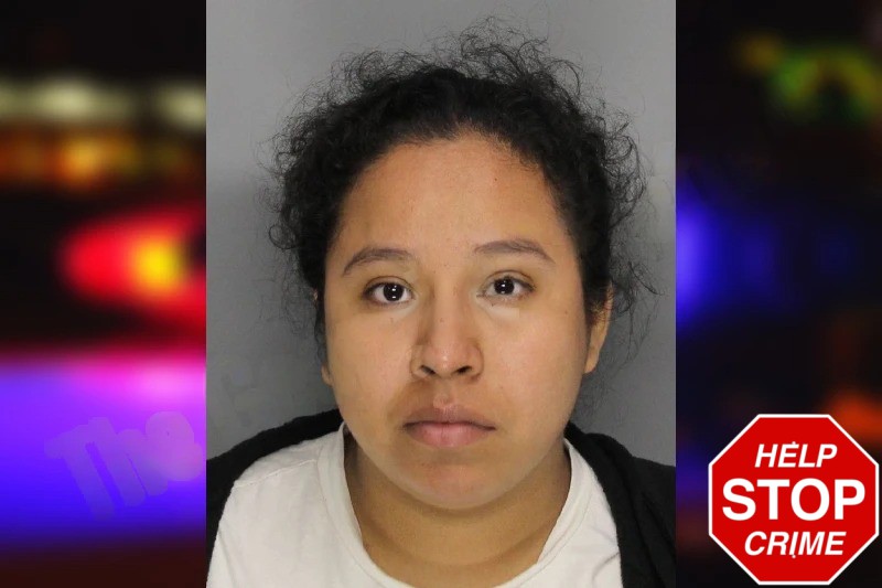 Yoselin Jerez Mugshots