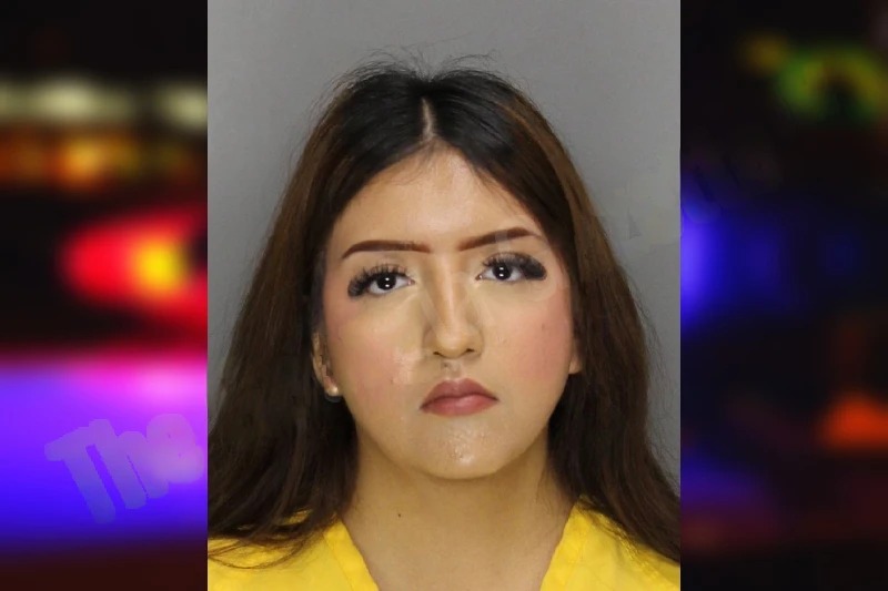Yulisa Aguilar mugshot