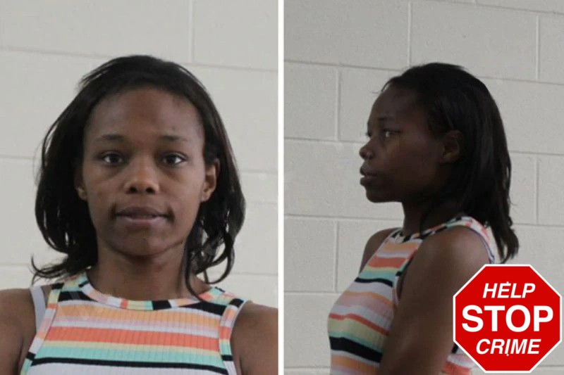 Yvette Bingham mugshot