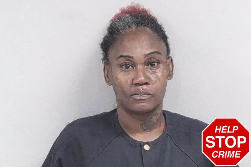 Yvonne Neal Mugshots