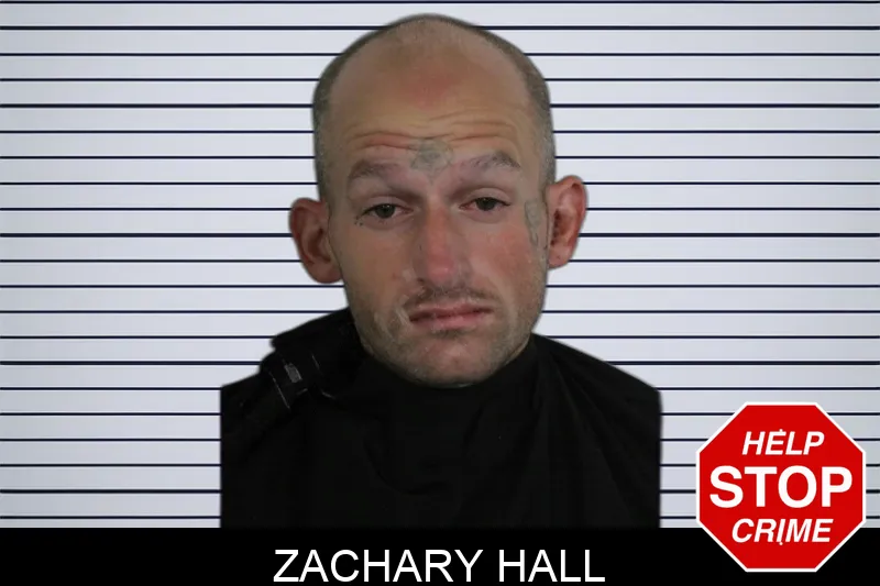 Zachary Hall Mugshots