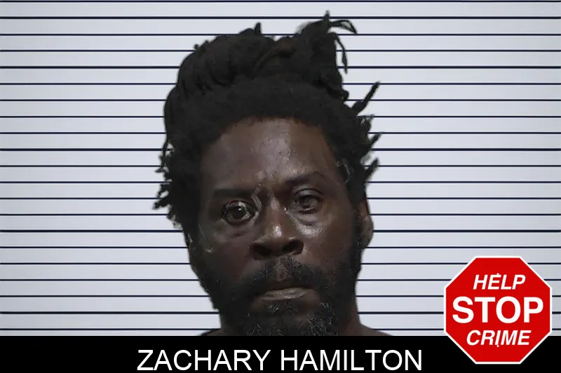 Zachary Hamilton mugshot
