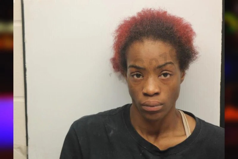 Zadie Mackey Mugshots