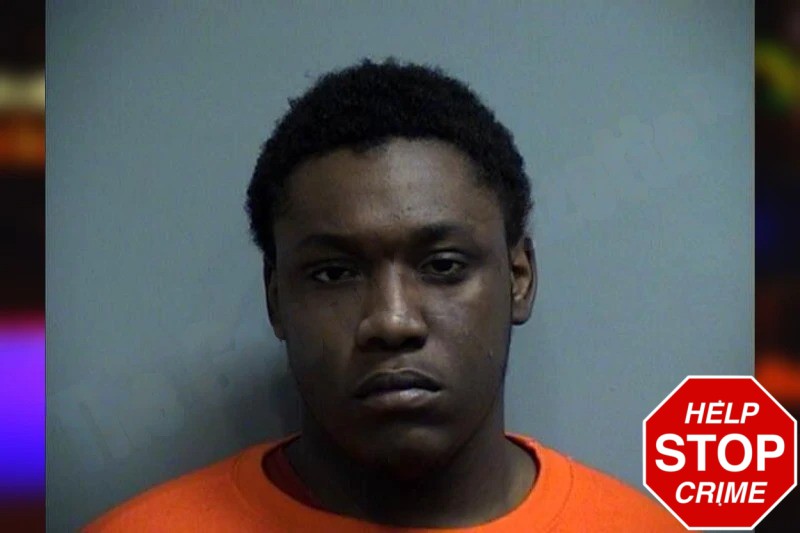 Zamarie Lee mugshot – Effingham County , Georgia Zamarie Lee mugshot