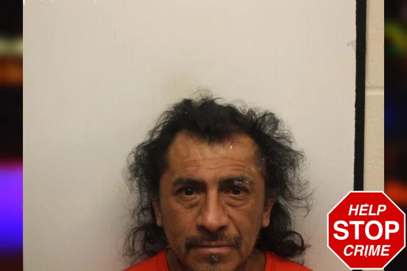 Zenon Solano Posadas mugshot – Chatham County , Georgia Zenon Solano Posadas mugshot