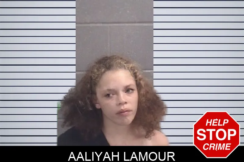 Aaliyah Lamour Mugshots