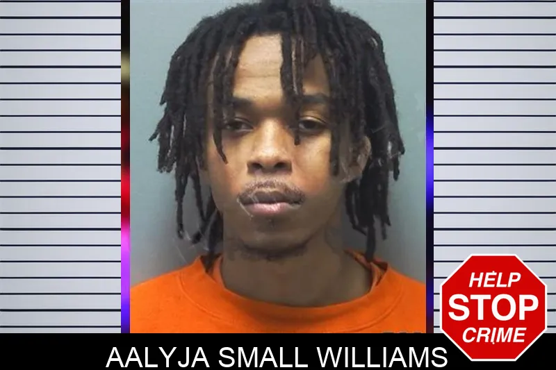 Aalyja Small Williams mugshot